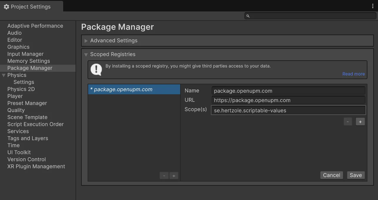 Package manager scoped registry